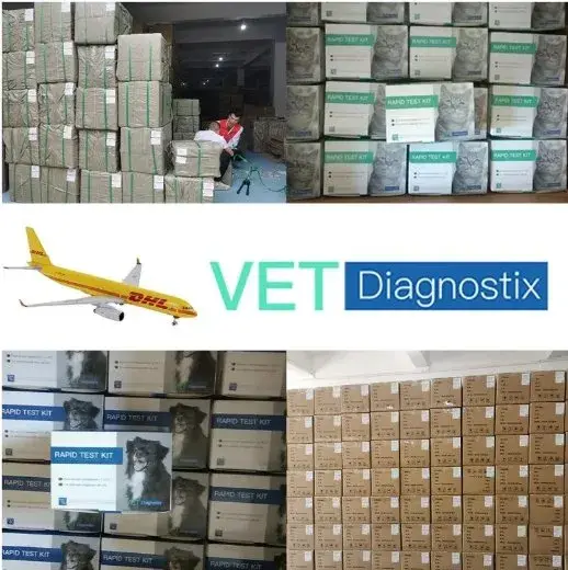 Kiểm tra nhanh vi-rút tiêu chảy mô-lông (PEDV) bằng phương pháp đo IGA