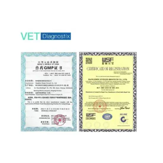Kiểm tra nhanh vi-rút tiêu chảy mô-lông (PEDV) bằng phương pháp đo IGA