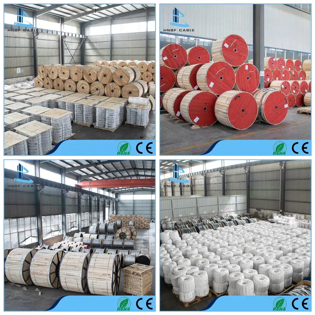 Cáp điện hai lõi cách điện PVC bọc PVC theo tiêu chuẩn 6004construction, dùng cho điện áp 660/1100V hình ảnh 14-description