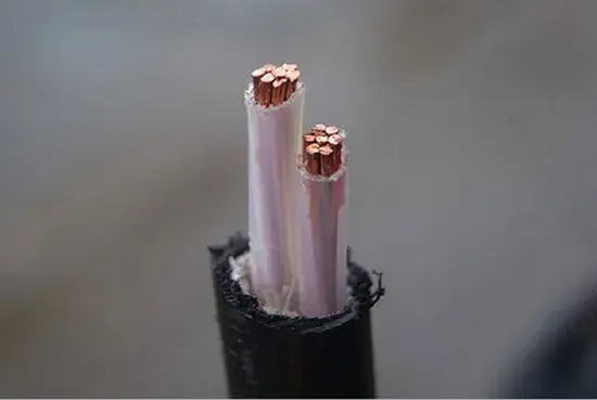 Cáp điện hai lõi cách điện PVC bọc PVC theo tiêu chuẩn 6004construction, dùng cho điện áp 660/1100V