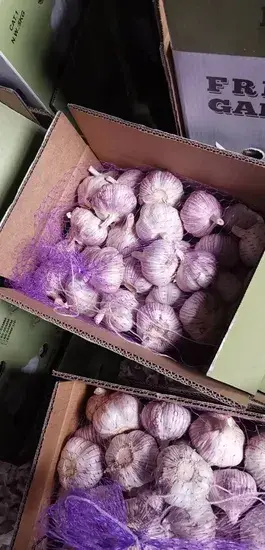 Nước sốt salad tỏi tươi cao cấp - Công thức ít chất béo, đựng trong túi 5L phục vụ cho thực phẩm