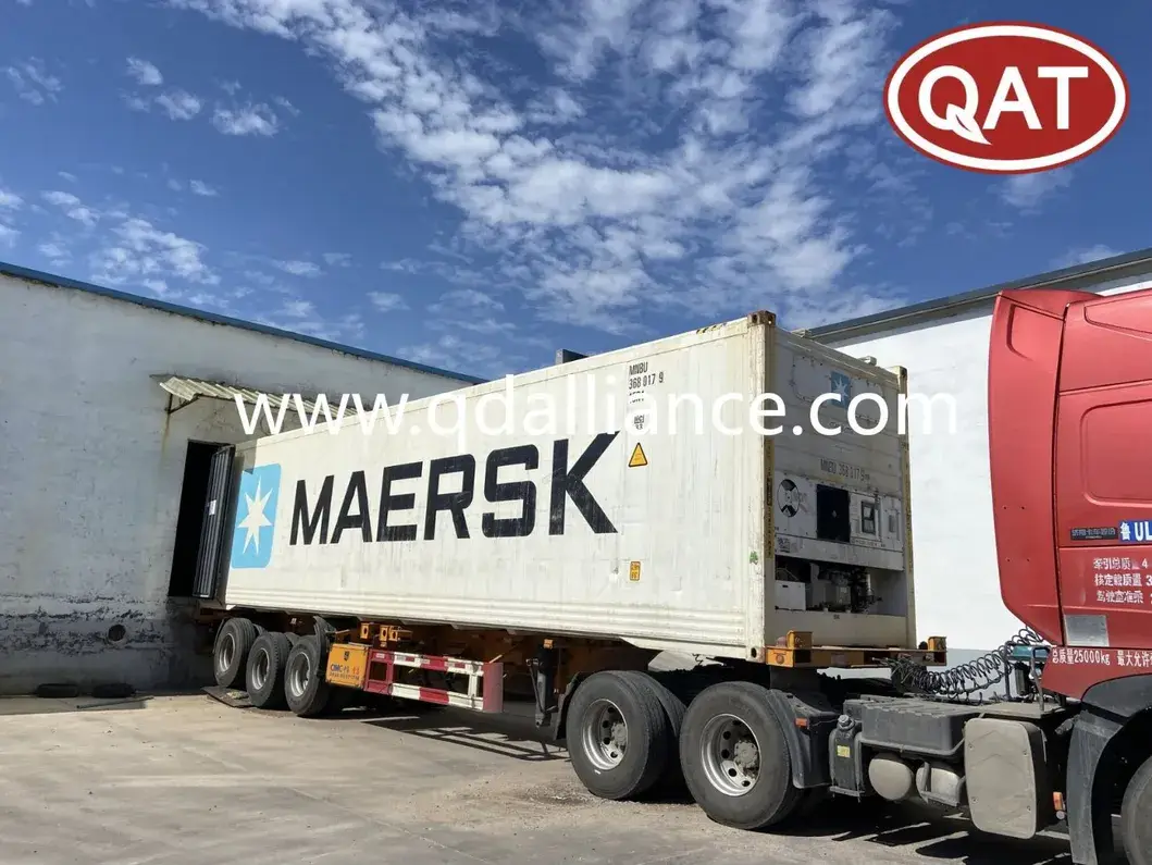 Thực phẩm ức gà Halal chất lượng cao, hương vị cay nồng phù hợp cho mua sỉ hình ảnh 19-description