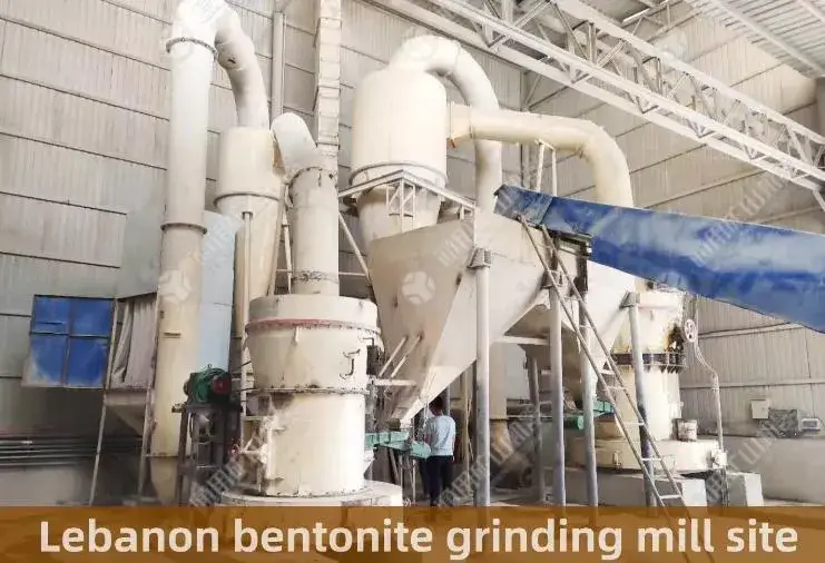 Máy nghiền Raymond Mtw Series: Giải pháp nghiền mịn chất lượng hàng đầu hình ảnh 16-description