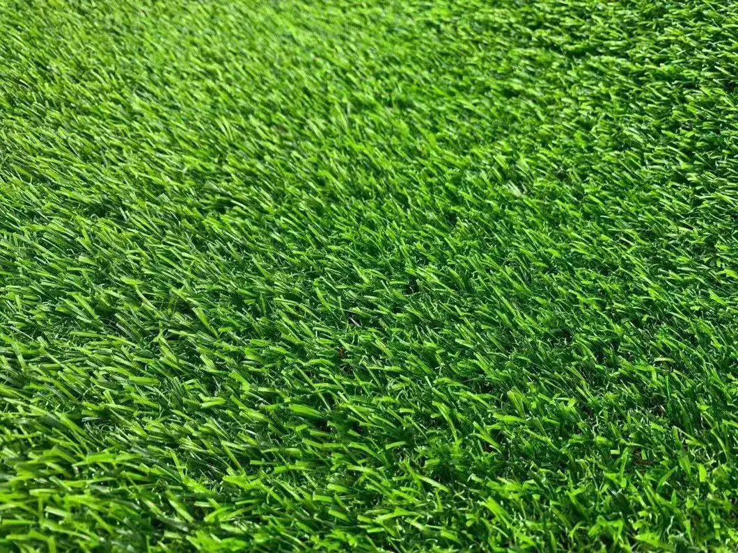 Cỏ nhân tạo chất lượng cao dành cho sân bóng đá hình ảnh 15-description