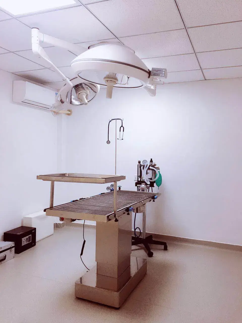Bàn phẫu thuật thú y chất lượng cao, bàn kiểm tra nhiệt độ và bàn inox cho thú y hình ảnh 22-description