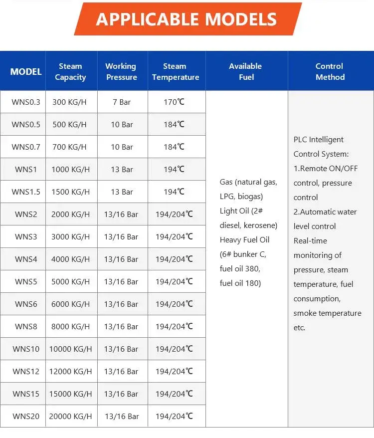 Nồi hơi hơi nước gas chất lượng, dung tích từ 1 đến 15 tấn cho xưởng sản xuất gạo hình ảnh 13-description