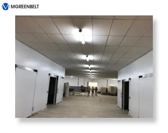 Tủ đông lạnh chứa thực phẩm - Giải pháp bảo quản thực phẩm tốt nhất