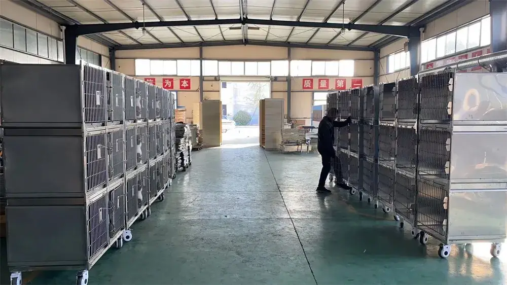 Thiết bị dao siêu âm tái sử dụng cho phẫu thuật nội soi, cắt nhanh và hiệu quả hình ảnh 22-description