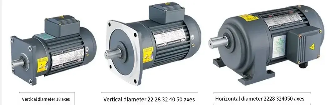 Động cơ bánh răng đa dạng với nhiều kích thước, cam kết giao hàng trong 30 ngày hình ảnh 18-description