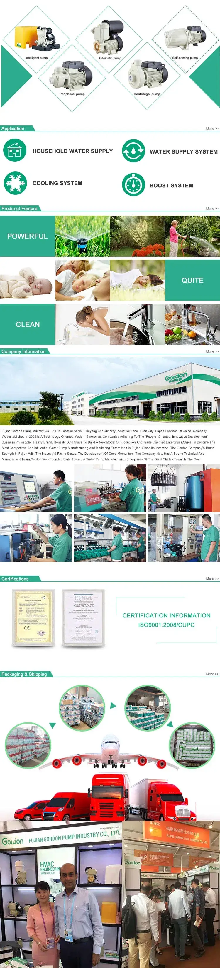 Máy bơm nước từ giếng sâu với thiết kế cánh quạt đồng tự mồi (JDW) hình ảnh 16-description