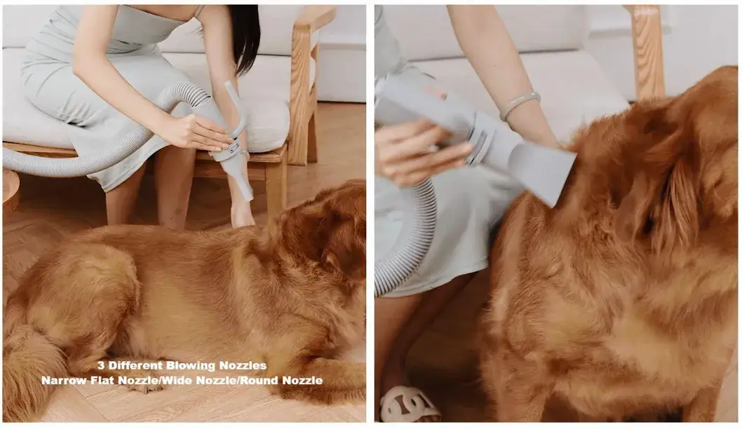 Dịch vụ chăm sóc cho chó tại Petsmart: Rửa tự phục vụ và Cắt móng an toàn hình ảnh 16-description