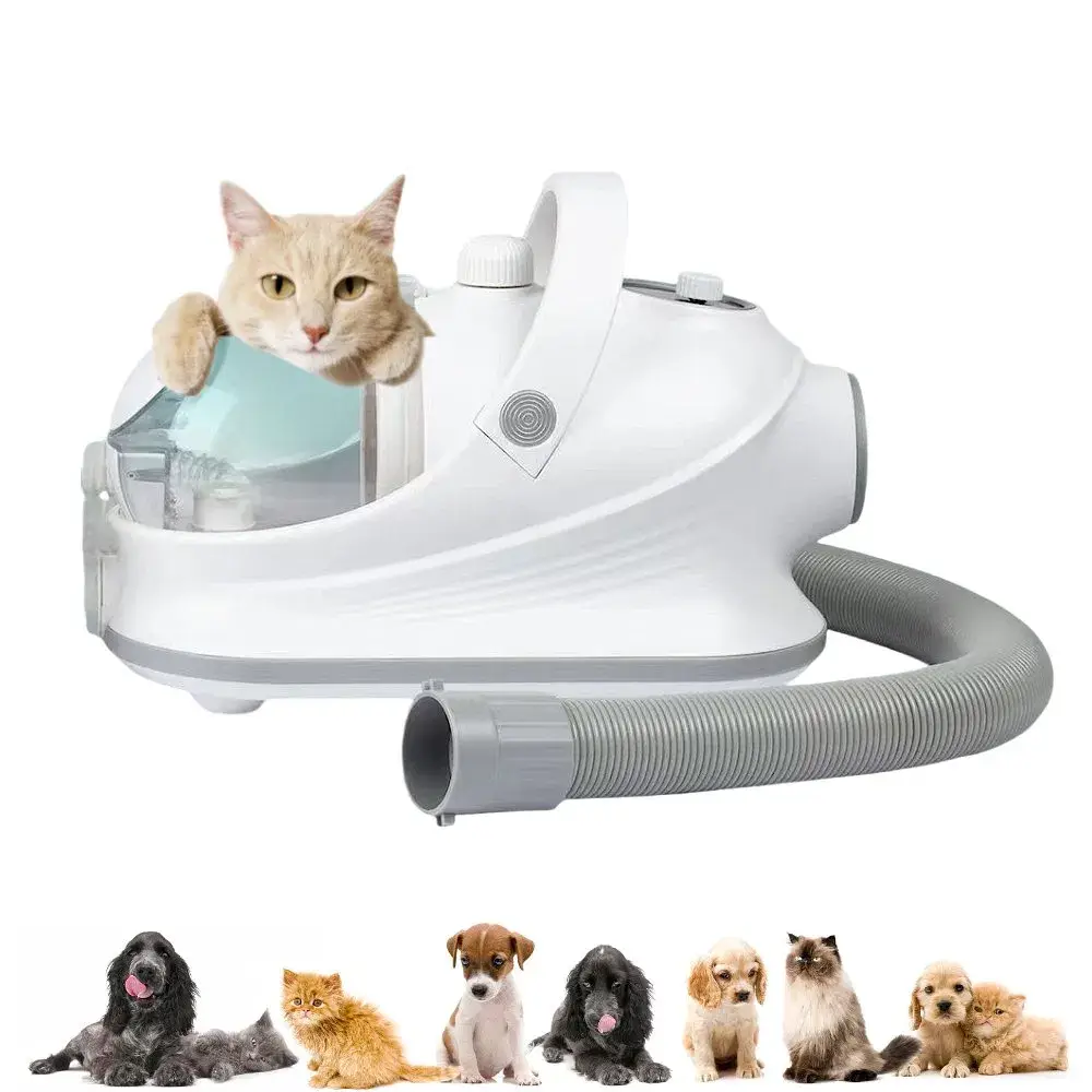 Dịch vụ chăm sóc cho chó tại Petsmart: Rửa tự phục vụ và Cắt móng an toàn