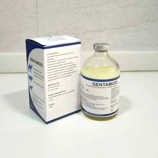Amoxicillin 15% - Giải pháp tiêm thuốc thú y cho gia súc, cừu, chó, mèo