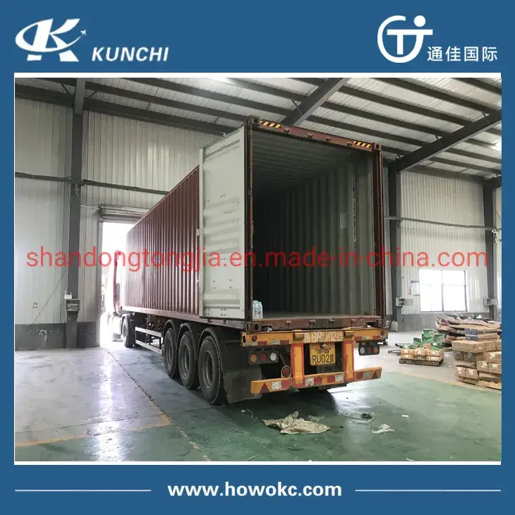 Bảng mở rộng cửa phụ tùng Sinotruk HOWO Wg1664330008 và các phụ tùng cho các dòng xe Shacman, FAW, Foton Dongfeng hình ảnh 21-description