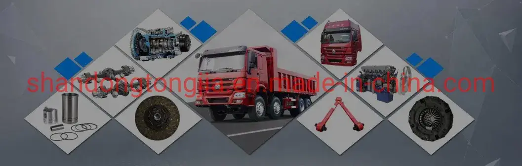 Bảng mở rộng cửa phụ tùng Sinotruk HOWO Wg1664330008 và các phụ tùng cho các dòng xe Shacman, FAW, Foton Dongfeng hình ảnh 15-description
