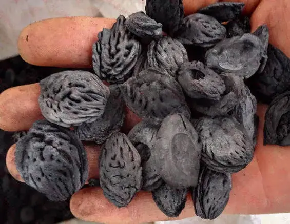 Thiết bị sản xuất biochar hiệu quả cho nông sản và chất thải từ lò carbon hóa hình ảnh 19-description