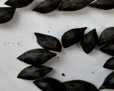 Thiết bị sản xuất biochar hiệu quả cho nông sản và chất thải từ lò carbon hóa hình ảnh 16-description