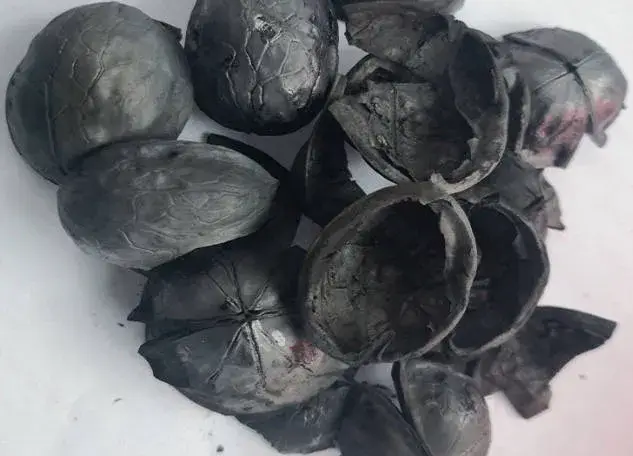 Thiết bị sản xuất biochar hiệu quả cho nông sản và chất thải từ lò carbon hóa hình ảnh 15-description