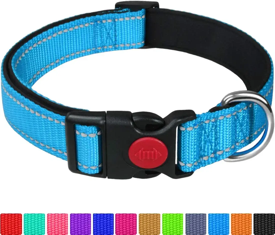 Dây cổ chó chất liệu neoprene mềm có đệm và khóa an toàn điều chỉnh