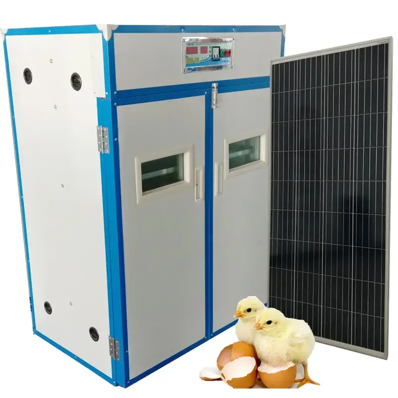 Máy ấp trứng đà điểu sử dụng năng lượng mặt trời, đảm bảo hiệu quả và tiết kiệm