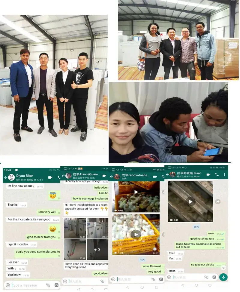 Máy ấp trứng đà điểu sử dụng năng lượng mặt trời, đảm bảo hiệu quả và tiết kiệm hình ảnh 19-description