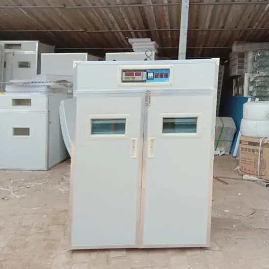 Máy ấp trứng đà điểu sử dụng năng lượng mặt trời, đảm bảo hiệu quả và tiết kiệm