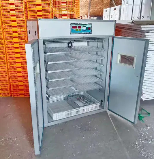 Máy ấp trứng đà điểu sử dụng năng lượng mặt trời, đảm bảo hiệu quả và tiết kiệm