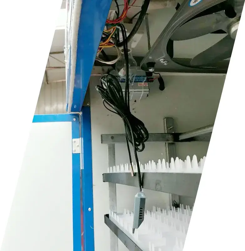 Máy ấp trứng đà điểu sử dụng năng lượng mặt trời, đảm bảo hiệu quả và tiết kiệm