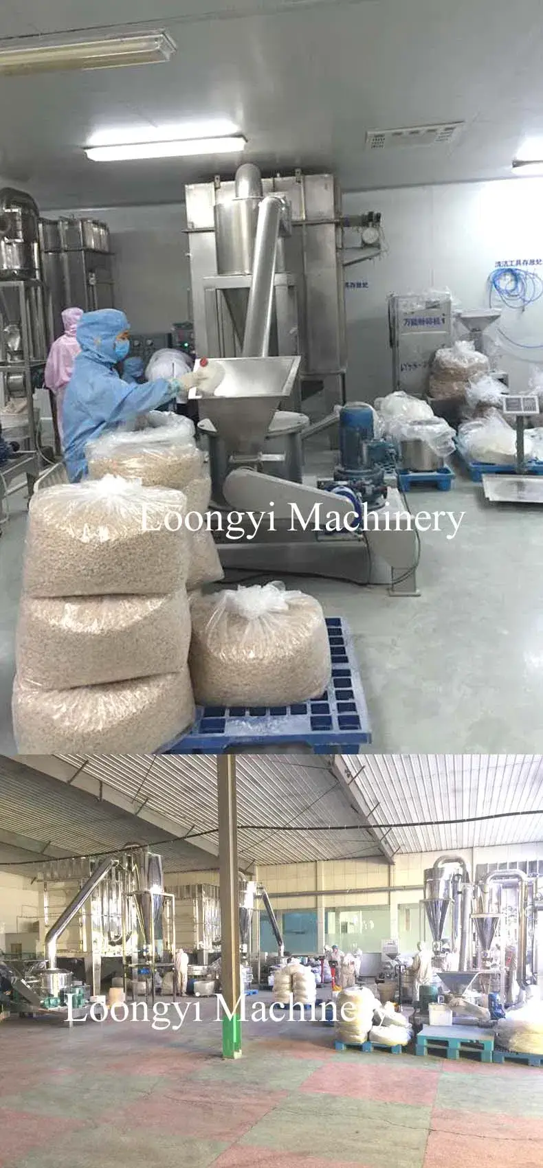 Máy xay ngô gia vị Ant Zein - Thiết bị đa năng làm bột tôm khô, hoa cúc hình ảnh 18-description