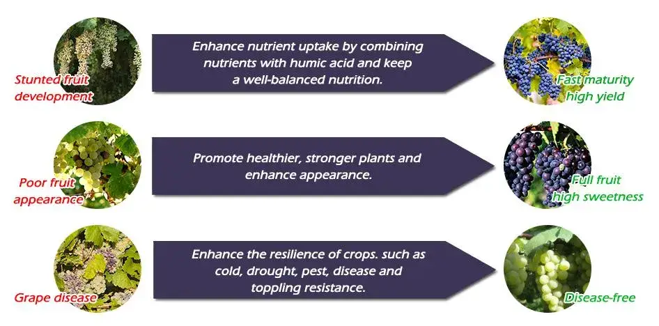 Phân bón Kali chất lượng cao, vảy axit humic fulvic chứa đầy dinh dưỡng hình ảnh 15-description