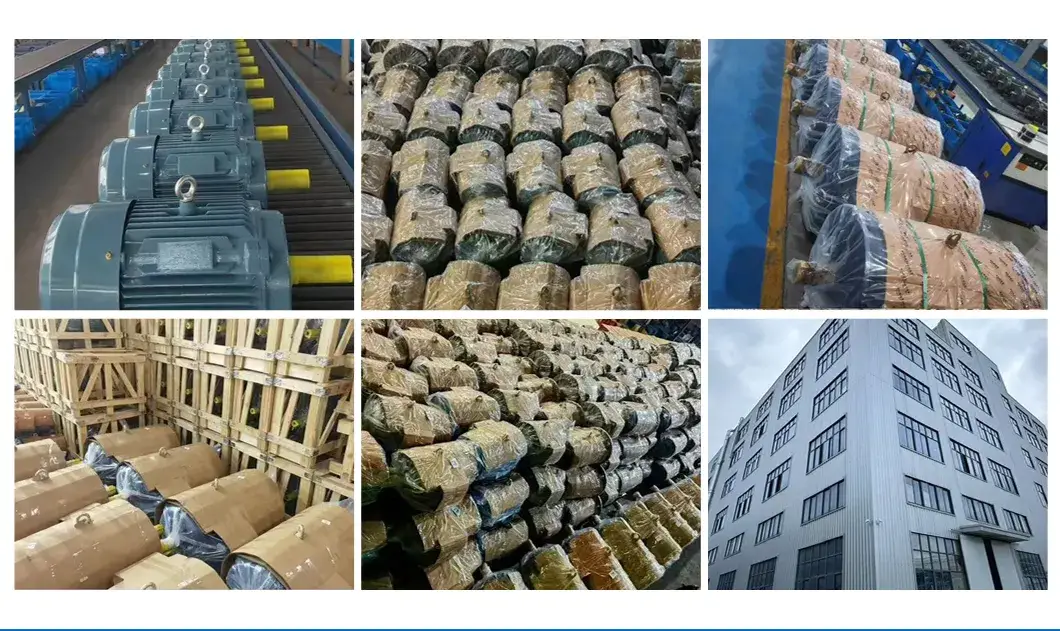 Thiết kế lắp đặt dễ dàng cho động cơ không đồng bộ ba pha hình ảnh 22-description