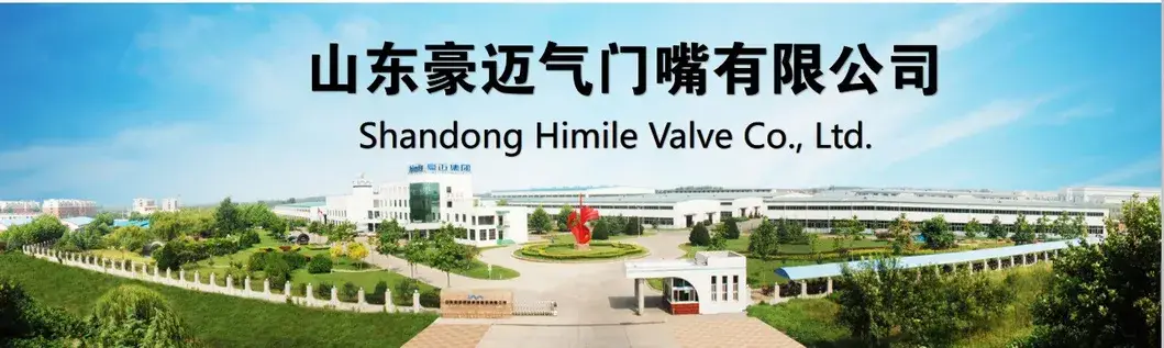 Lốp Ô Tô Phụ Tùng: Van Lốp EPDM Tr412 Tr413 Tr414 Tr415 Tr418, Van Không Ruột Phụ Tùng Xe Máy - Giá Tốt hình ảnh 14-description