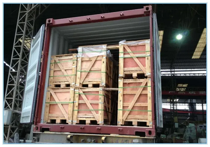 Máy đếm viên nang Tj-8 - Thiết bị điện tử hỗ trợ chăm sóc sức khỏe hình ảnh 11-description