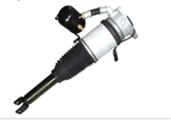 Hệ thống treo khí cao cấp phục vụ cho Audi A8 ở phần đuôi xe hình ảnh 1-description