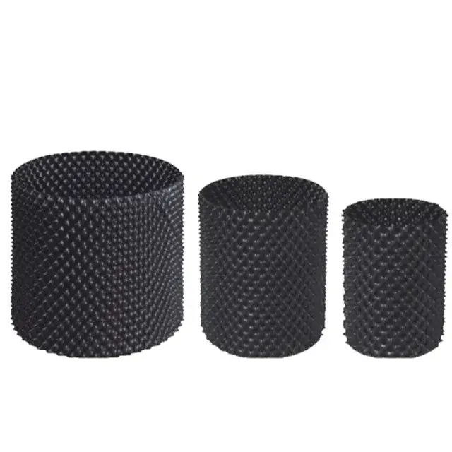 Phương pháp cắt tỉa rễ cho cây trong chậu giúp tăng tốc phát triển