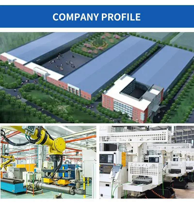 Phụ tùng ống cong bản lề đôi cho máy bơm bê tông Zoomlion 175A - Sản phẩm chất lượng cao hình ảnh 19-description
