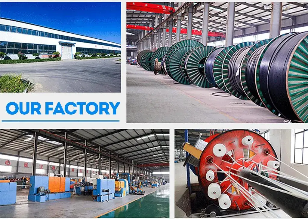 Cáp điện XLPE cách điện siêu bền dùng cho môi trường áp lực cao hình ảnh 14-description