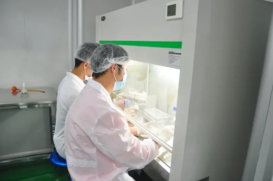Bình xịt khử trùng xe chứa tỉ lệ cồn 75% - Sản phẩm khử trùng xe và rửa tay hình ảnh 20-description