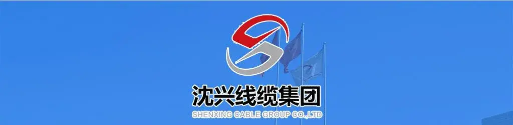 Nh Yjv: Giải pháp linh hoạt cho thị trường thương mại điện tử toàn cầu hình ảnh 8-description