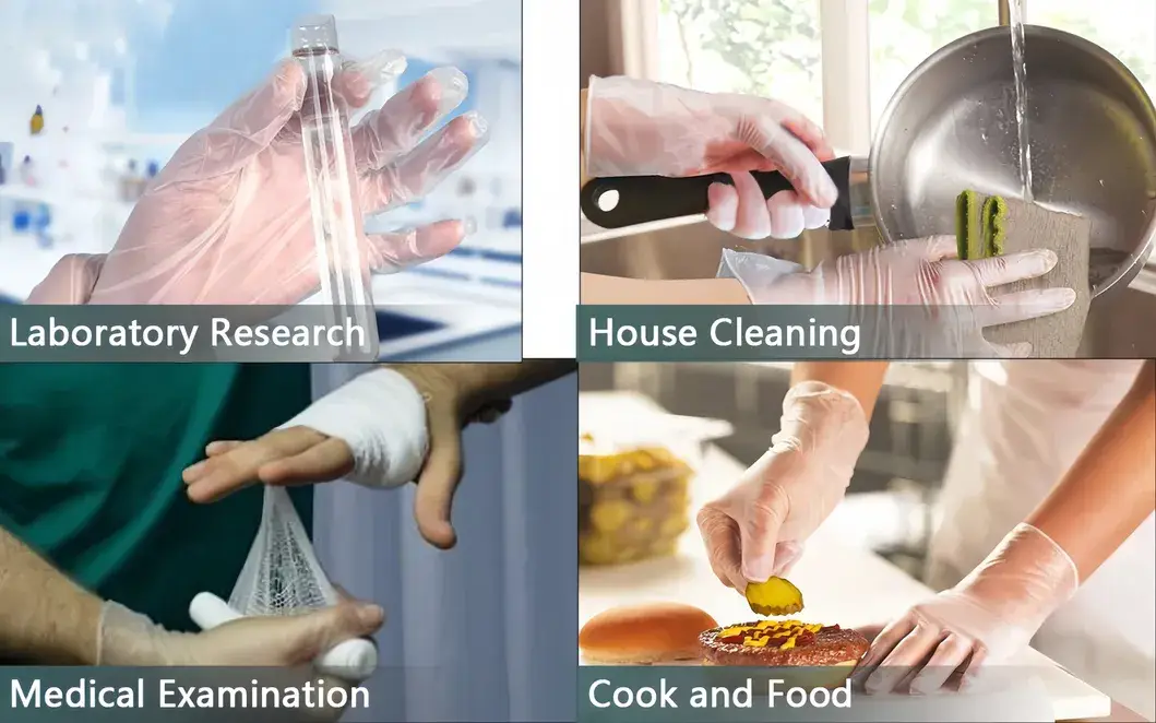 Găng tay vinyl không bột sử dụng một lần từ nhà sản xuất Quảng Châu hình ảnh 15-description