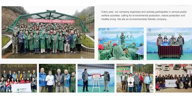 Báo cáo vách PE một lần dành cho Nhà hàng bán sỉ sân bay - Sự lựa chọn tốt nhất từ Khách sạn Ly hình ảnh 17-description