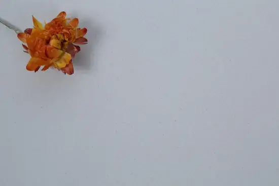 Đá nhân tạo màu trắng nguyên chất - Sản phẩm buôn sử dụng cho ốp lát sàn, phòng tắm, đảo bếp