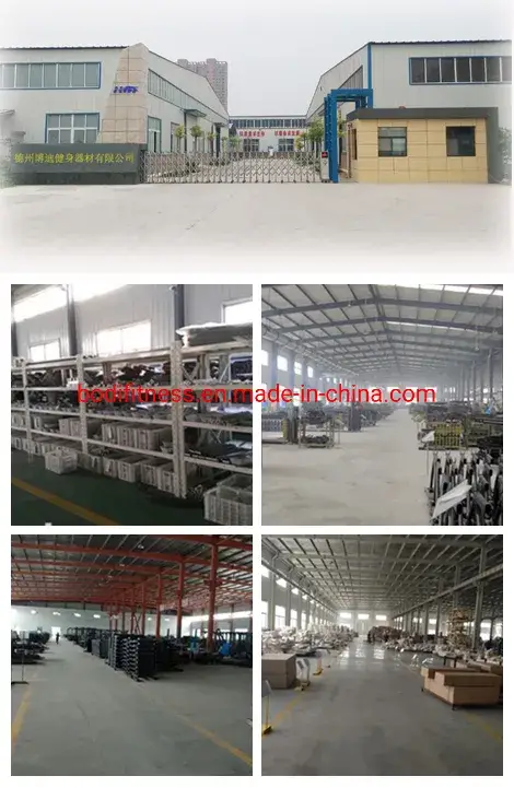 Bóng xỏ cát thể thao hình tròn chất lượng cao dành cho phòng tập gym - Bán buôn hình ảnh 20-description