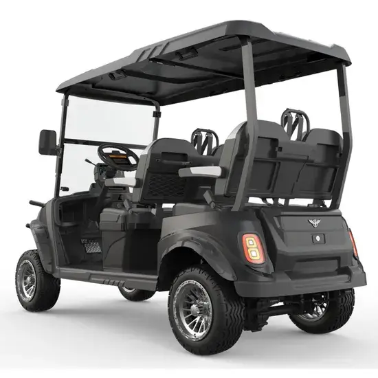 Pin axit chì lithium 48V cho xe điện golf 2+2 chỗ ngồi - Cung cấp sỉ