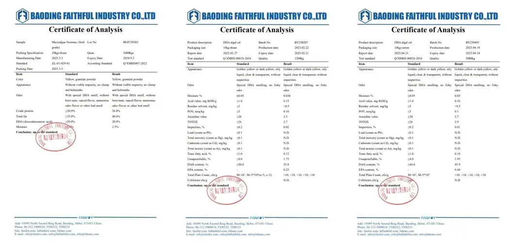 Dầu Tảo DHA Omega 3 Thực Phẩm Sỉ Đạt Tiêu Chuẩn Chất Lượng hình ảnh 16-description