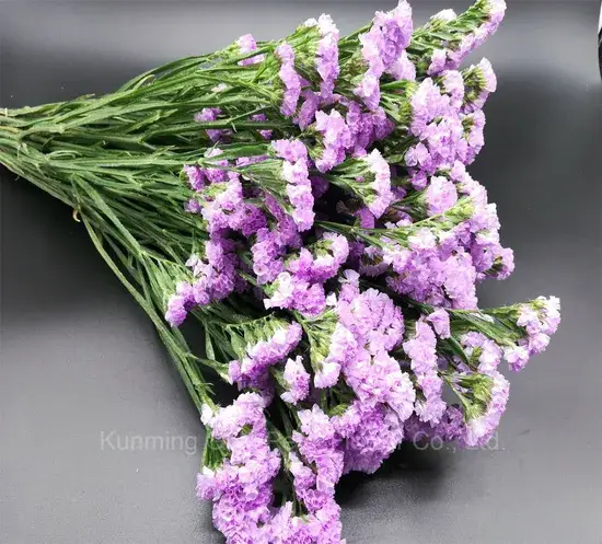 Đặt hoa oải hương và hoa statice tươi chất lượng cao cho trang trí đẹp nhất