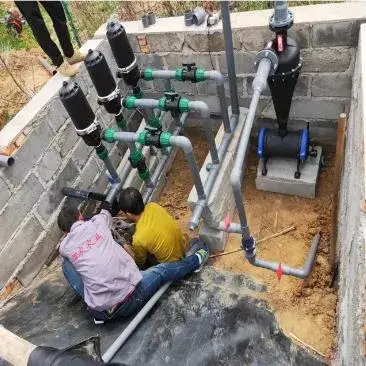 Ứng dụng thiết bị phân bón tự động Xinhe trong việc quản lý nhà kính thành công hình ảnh 14-description