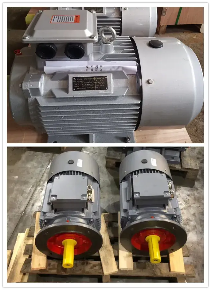 Động cơ điện một pha vỏ gang hoặc nhôm với bộ điều khiển tụ điện kép Yl hình ảnh 19-description