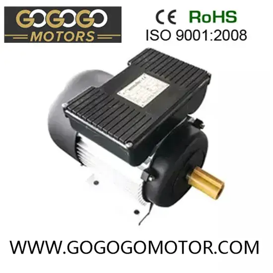 Động cơ điện một pha vỏ gang hoặc nhôm với bộ điều khiển tụ điện kép Yl