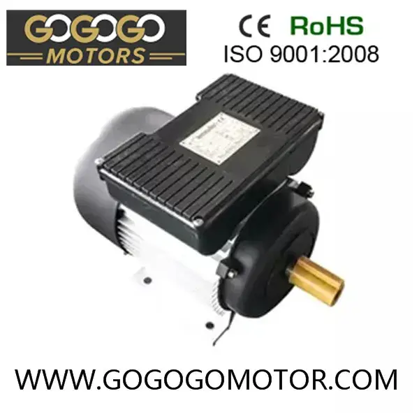 Động cơ điện một pha vỏ gang hoặc nhôm với bộ điều khiển tụ điện kép Yl